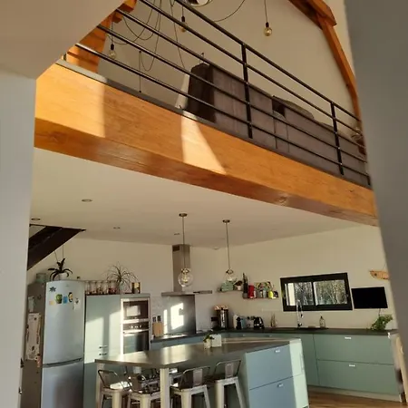Maison Contemporaine Au Coeur De * La Roche-Posay